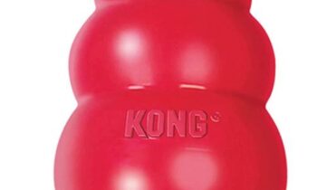 kong cani