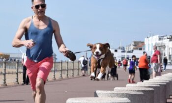 guinzaglio per correre con il cane