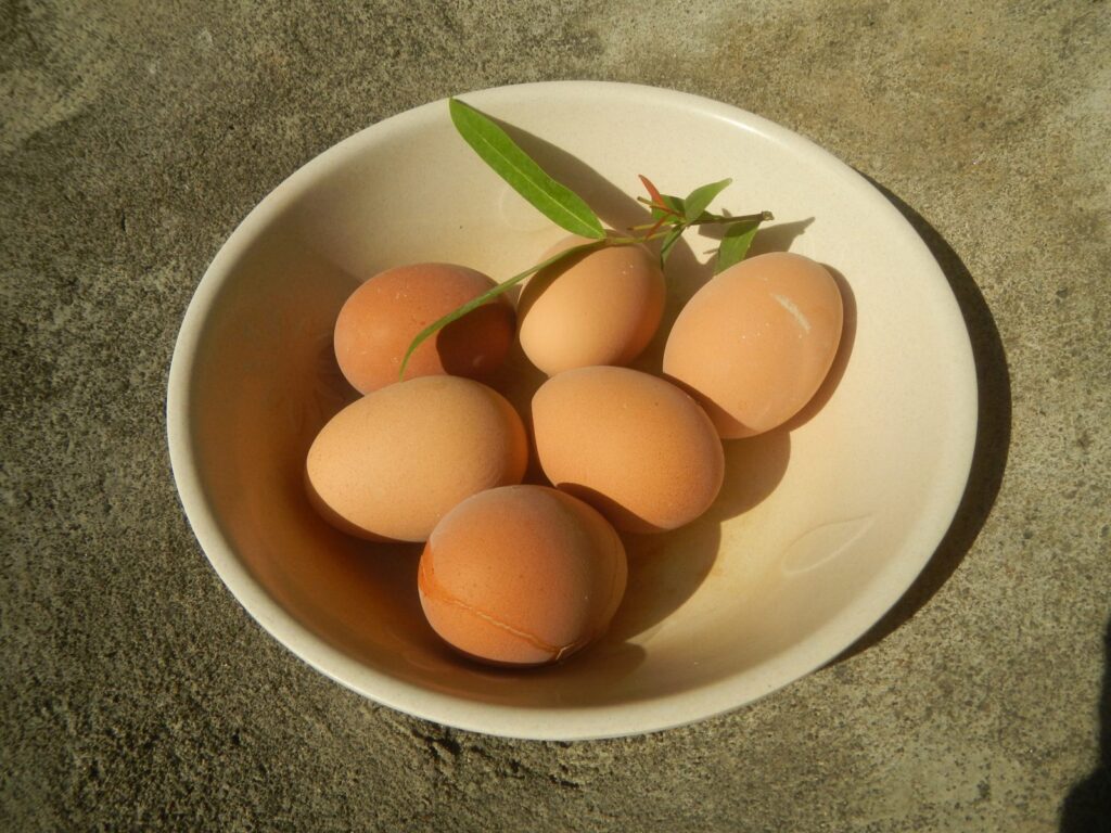 Uova fresche in una ciotola